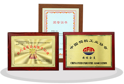 研发成果